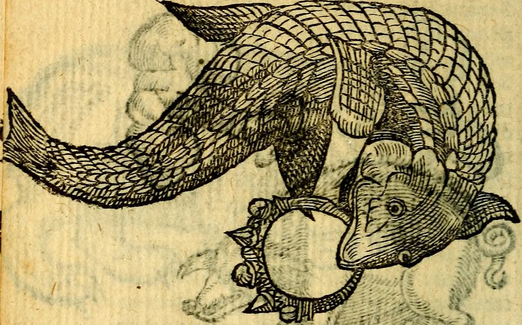 An illustration from Symbola heroica, 1583, leaf 87