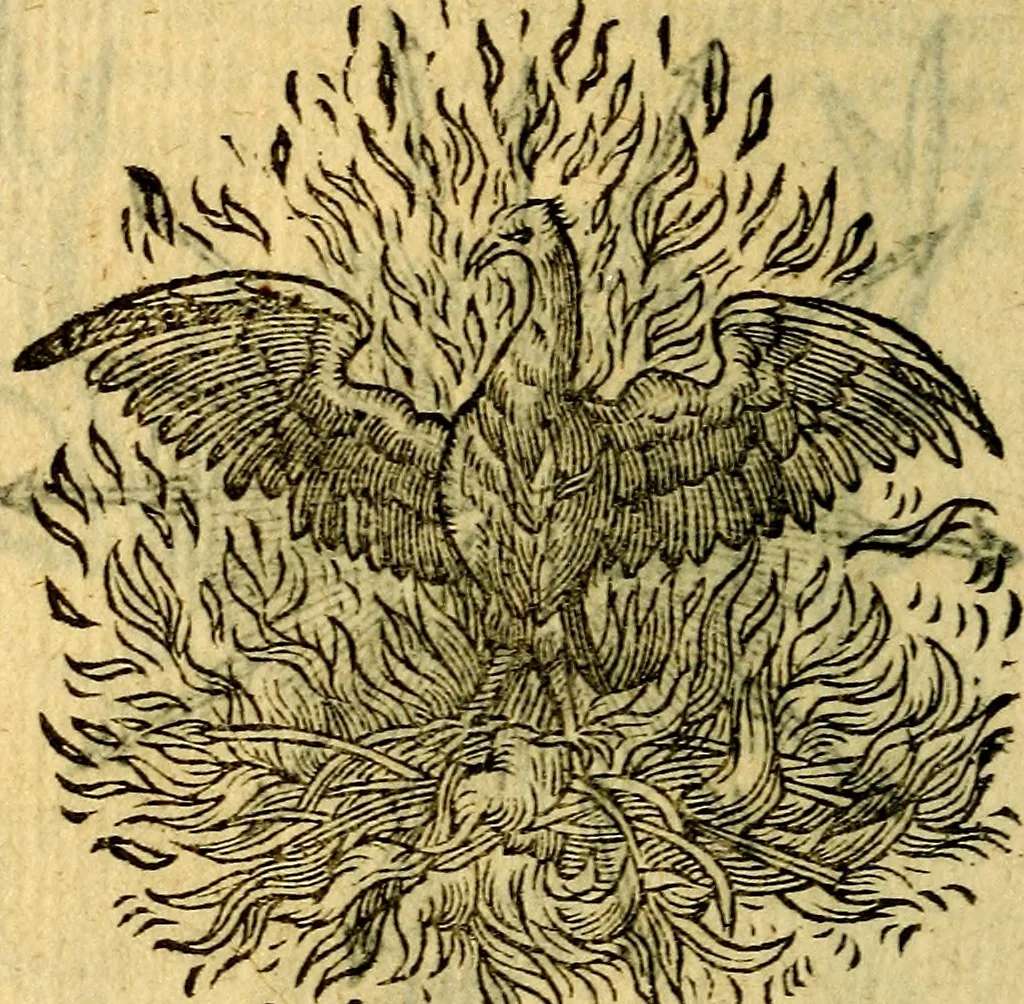 An illustration from Symbola heroica, 1583, leaf 95