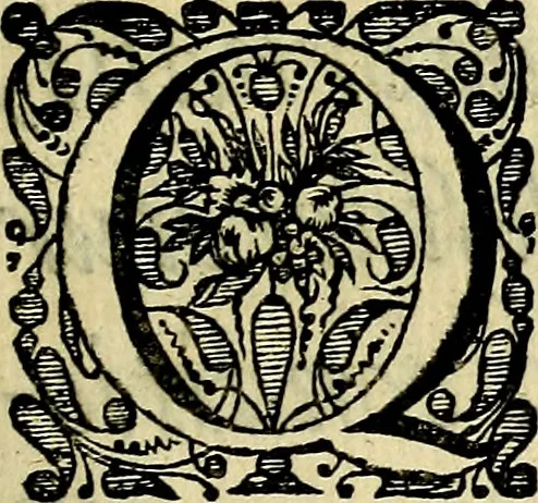 An illustration from Symbola heroica, 1682, leaf 10