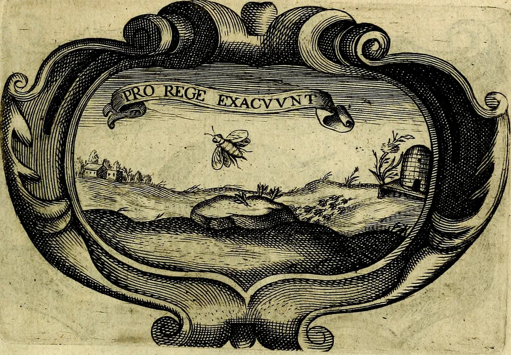 An illustration from Symbola heroica, 1682, leaf 126