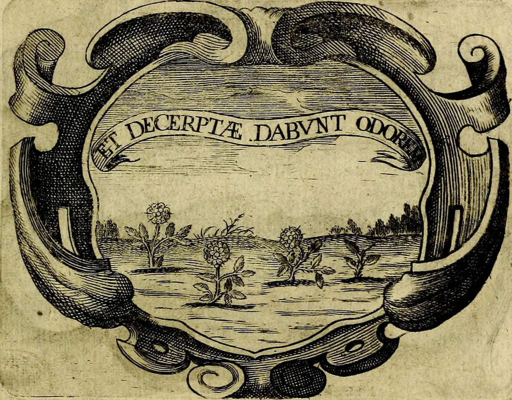 An illustration from Symbola heroica, 1682, leaf 142