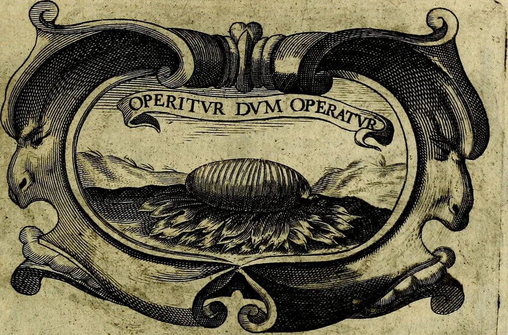 An illustration from Symbola heroica, 1682, leaf 144