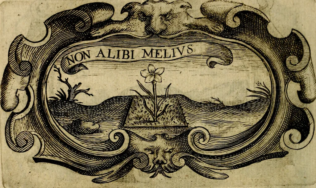 An illustration from Symbola heroica, 1682, leaf 145