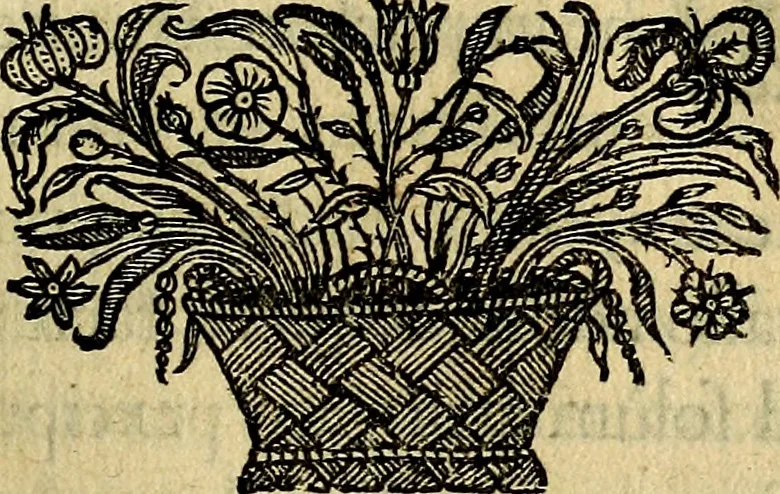 An illustration from Symbola heroica, 1682, leaf 160