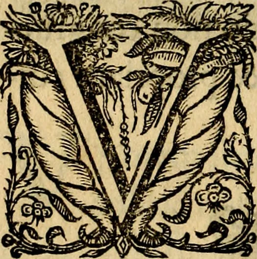 An illustration from Symbola heroica, 1682, leaf 161