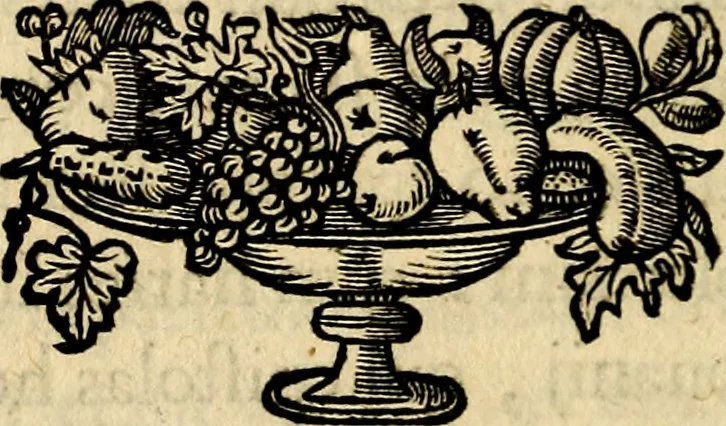 An illustration from Symbola heroica, 1682, leaf 247