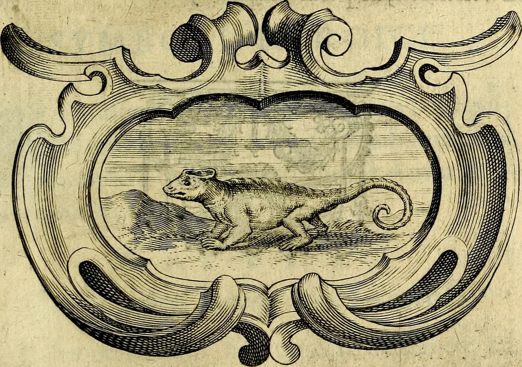 An illustration from Symbola heroica, 1682, leaf 254