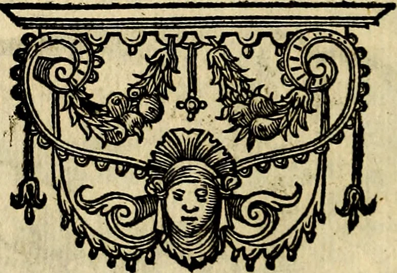 An illustration from Symbola heroica, 1682, leaf 255