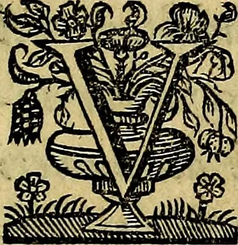 An illustration from Symbola heroica, 1682, leaf 28