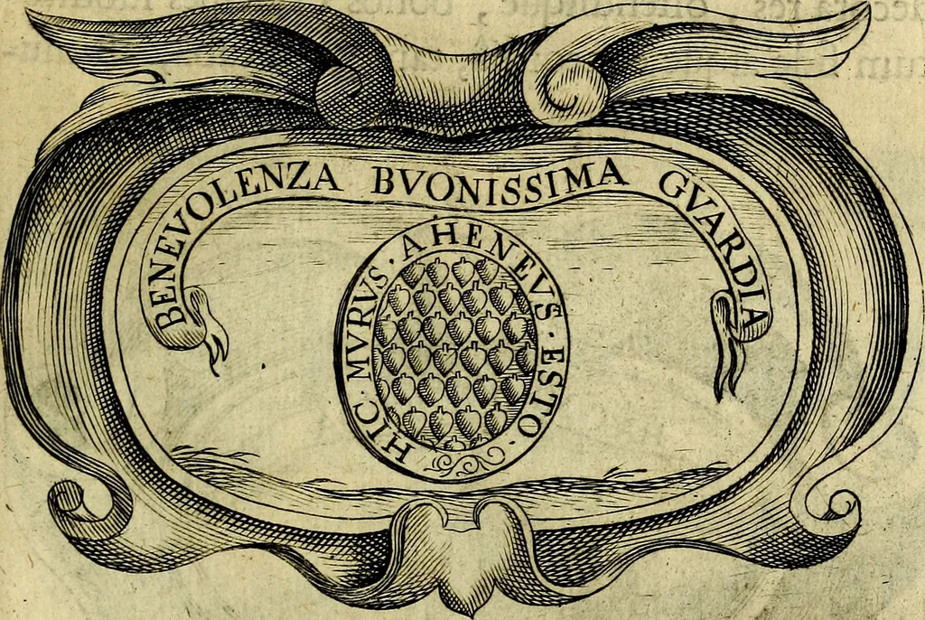 An illustration from Symbola heroica, 1682, leaf 316