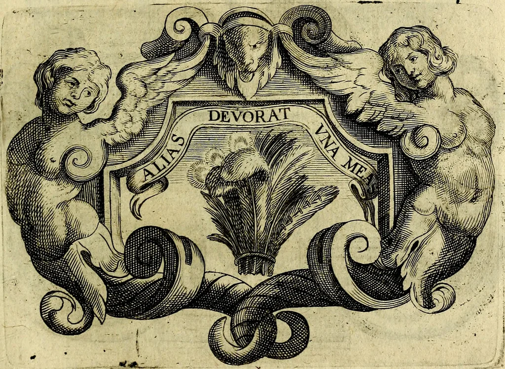 An illustration from Symbola heroica, 1682, leaf 364
