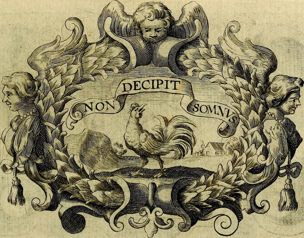 An illustration from Symbola heroica, 1682, leaf 372