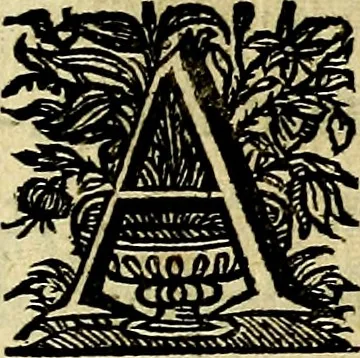 An illustration from Symbola heroica, 1682, leaf 422