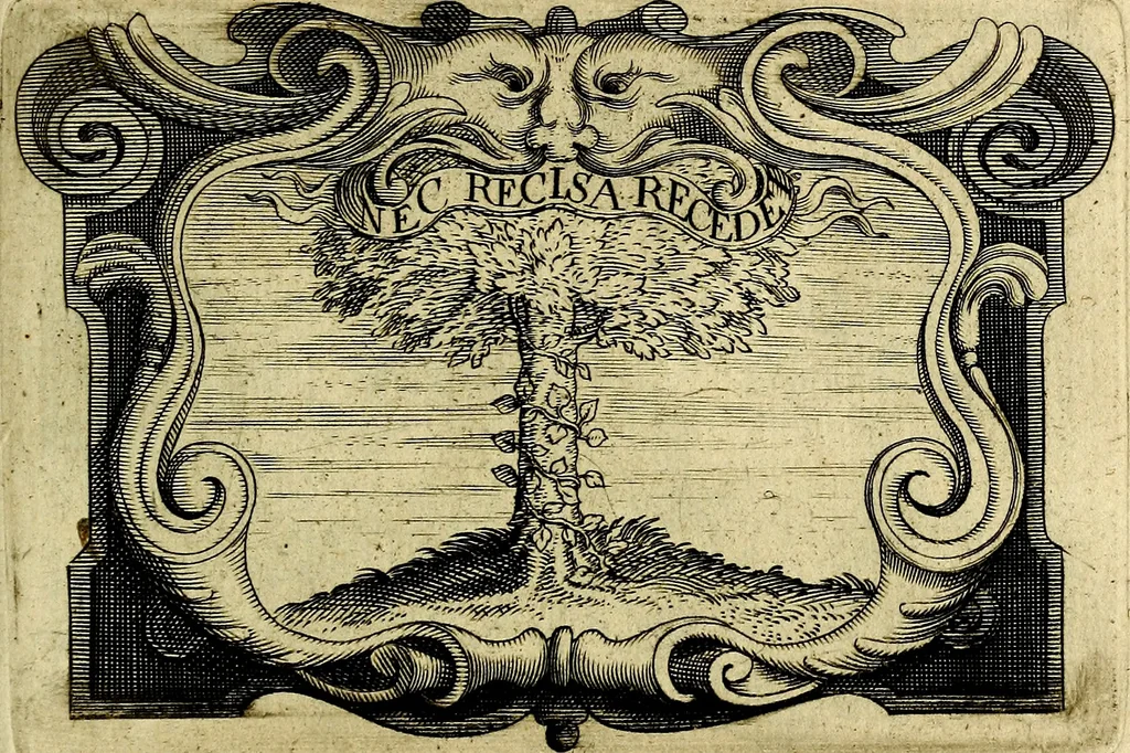 An illustration from Symbola heroica, 1682, leaf 456