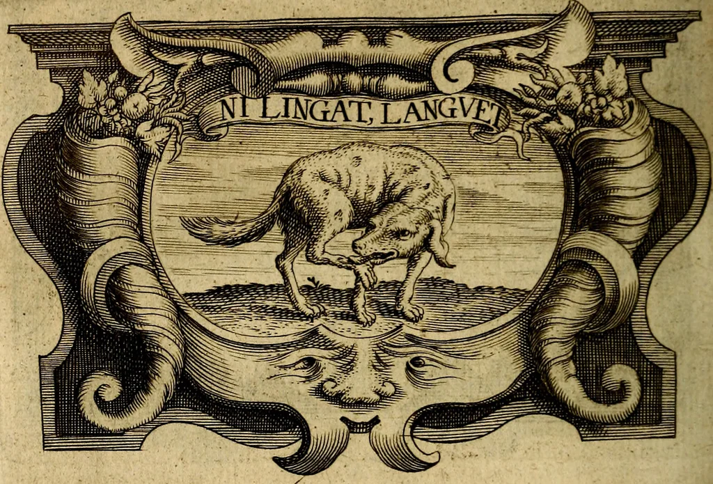 An illustration from Symbola heroica, 1682, leaf 459