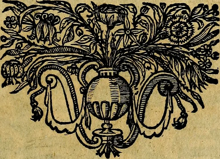 An illustration from Symbola heroica, 1682, leaf 46