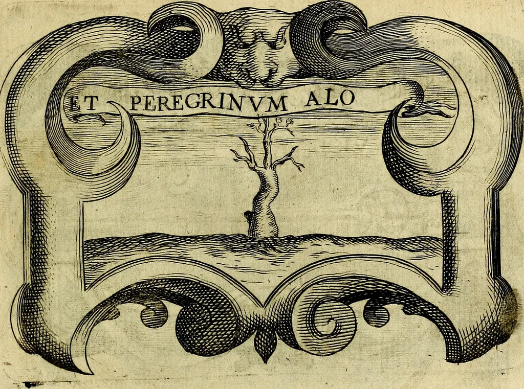 An illustration from Symbola heroica, 1682, leaf 462