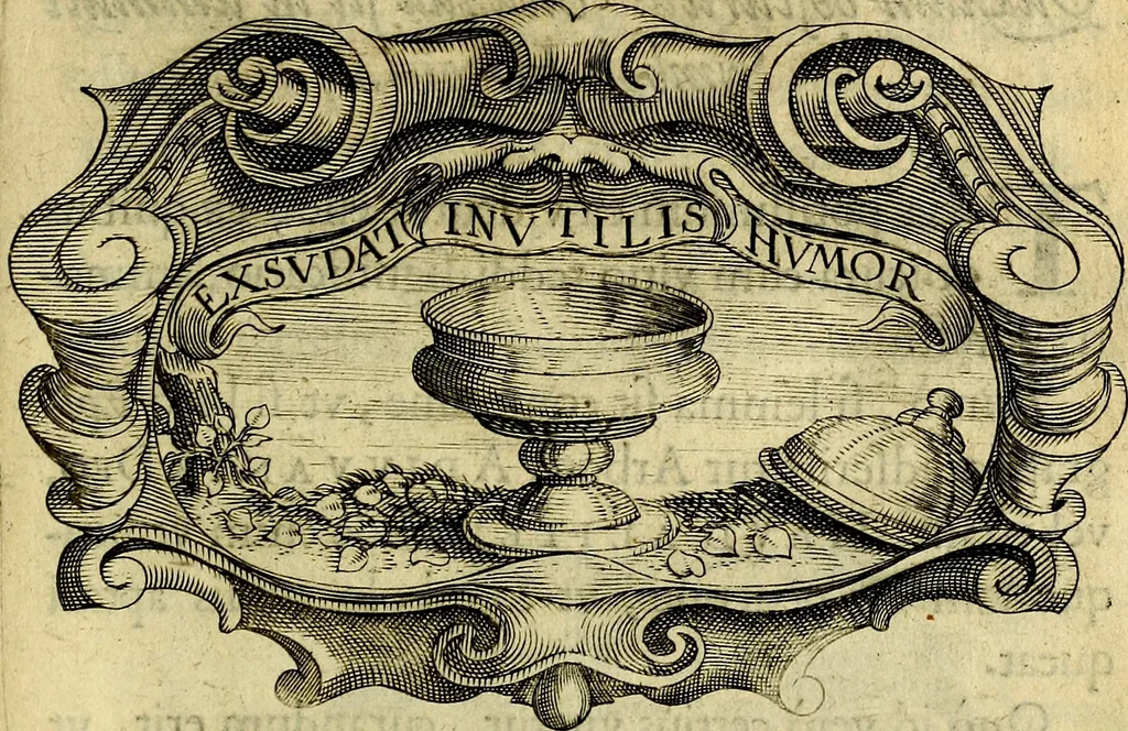 An illustration from Symbola heroica, 1682, leaf 476