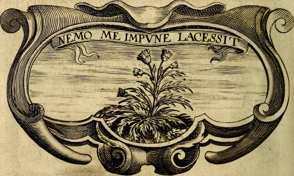 An illustration from Symbola heroica, 1682, leaf 485