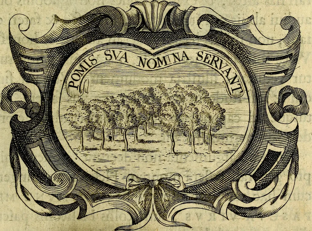 An illustration from Symbola heroica, 1682, leaf 512