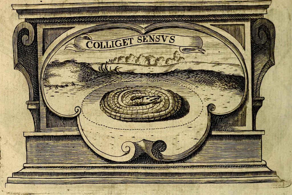 An illustration from Symbola heroica, 1682, leaf 531