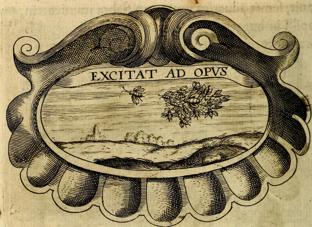 An illustration from Symbola heroica, 1682, leaf 533