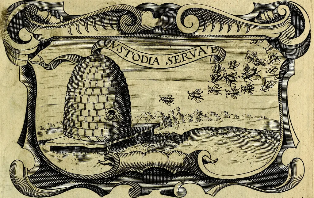 An illustration from Symbola heroica, 1682, leaf 534