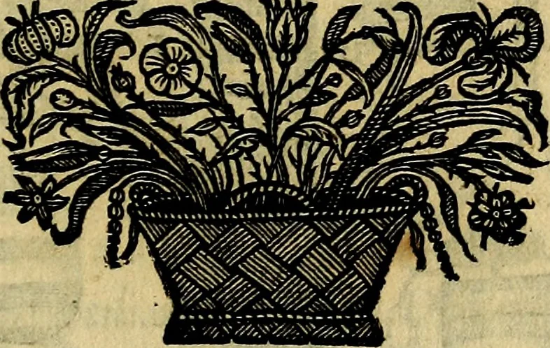 An illustration from Symbola heroica, 1682, leaf 56