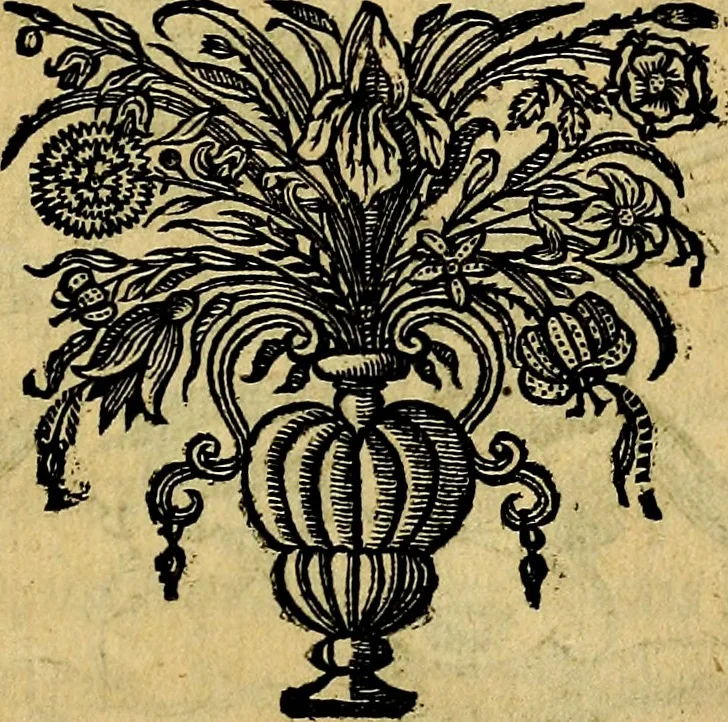 An illustration from Symbola heroica, 1682, leaf 62