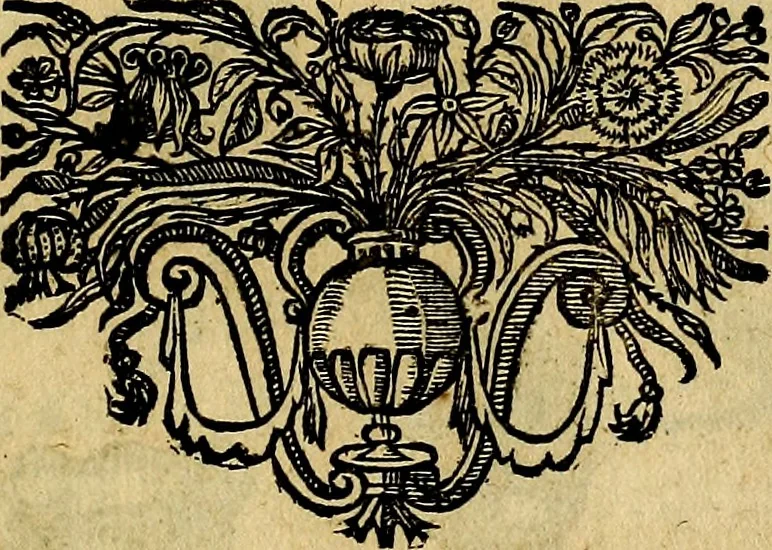 An illustration from Symbola heroica, 1682, leaf 84
