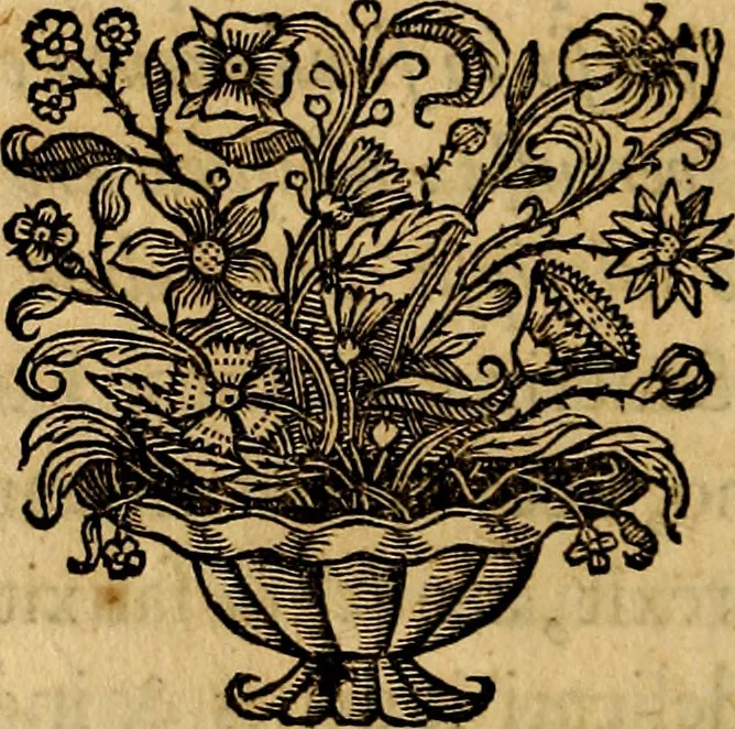 An illustration from Symbola heroica, 1682, leaf 91