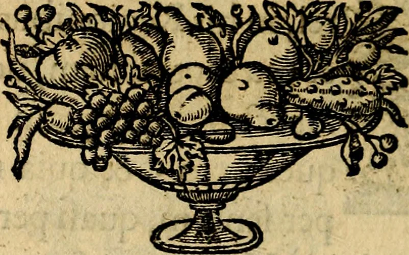 An illustration from Symbola heroica, 1682, leaf 93