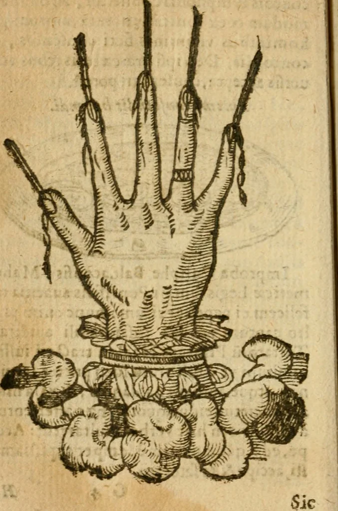 An illustration from Symbola heroica m. Clavdii Paradini, Belliiocensis canonici, et d. Gabrielis Symeonis : multo, quàm antea, fidelius de gallica lingua in latinam conuersa, 1600, leaf 107