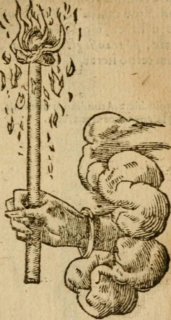 An illustration from Symbola heroica m. Clavdii Paradini, Belliiocensis canonici, et d. Gabrielis Symeonis : multo, quàm antea, fidelius de gallica lingua in latinam conuersa, 1600, leaf 128