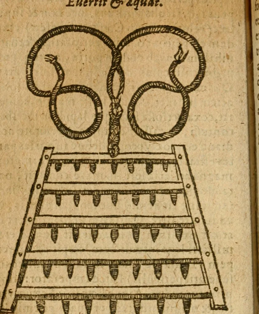 An illustration from Symbola heroica m. Clavdii Paradini, Belliiocensis canonici, et d. Gabrielis Symeonis : multo, quàm antea, fidelius de gallica lingua in latinam conuersa, 1600, leaf 139