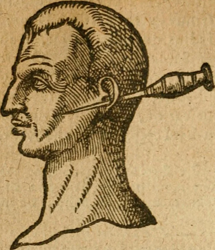 An illustration from Symbola heroica m. Clavdii Paradini, Belliiocensis canonici, et d. Gabrielis Symeonis : multo, quàm antea, fidelius de gallica lingua in latinam conuersa, 1600, leaf 143