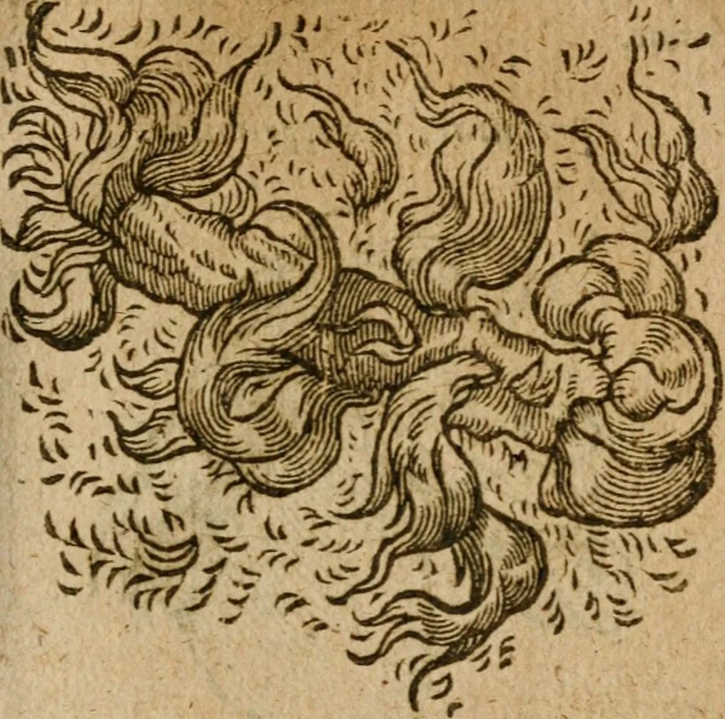 An illustration from Symbola heroica m. Clavdii Paradini, Belliiocensis canonici, et d. Gabrielis Symeonis : multo, quàm antea, fidelius de gallica lingua in latinam conuersa, 1600, leaf 152
