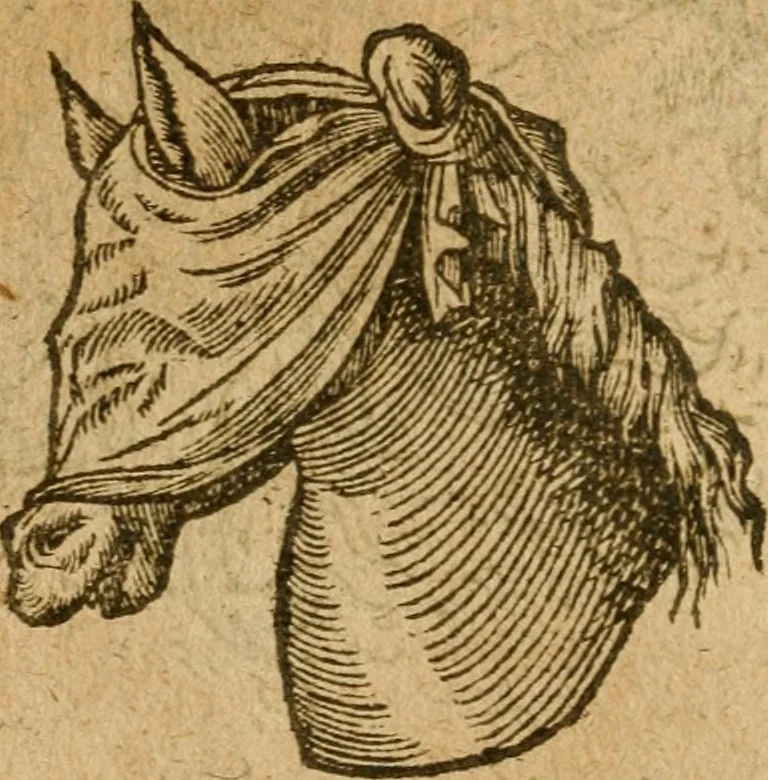 An illustration from Symbola heroica m. Clavdii Paradini, Belliiocensis canonici, et d. Gabrielis Symeonis : multo, quàm antea, fidelius de gallica lingua in latinam conuersa, 1600, leaf 153