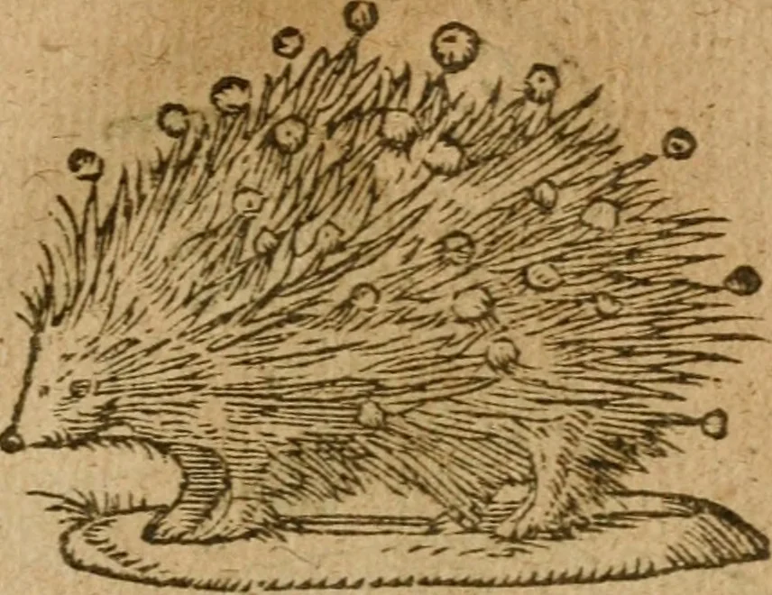 An illustration from Symbola heroica m. Clavdii Paradini, Belliiocensis canonici, et d. Gabrielis Symeonis : multo, quàm antea, fidelius de gallica lingua in latinam conuersa, 1600, leaf 154
