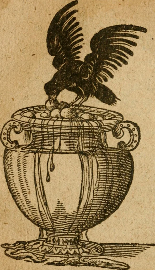 An illustration from Symbola heroica m. Clavdii Paradini, Belliiocensis canonici, et d. Gabrielis Symeonis : multo, quàm antea, fidelius de gallica lingua in latinam conuersa, 1600, leaf 155