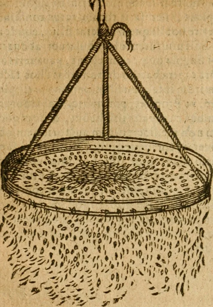 An illustration from Symbola heroica m. Clavdii Paradini, Belliiocensis canonici, et d. Gabrielis Symeonis : multo, quàm antea, fidelius de gallica lingua in latinam conuersa, 1600, leaf 159