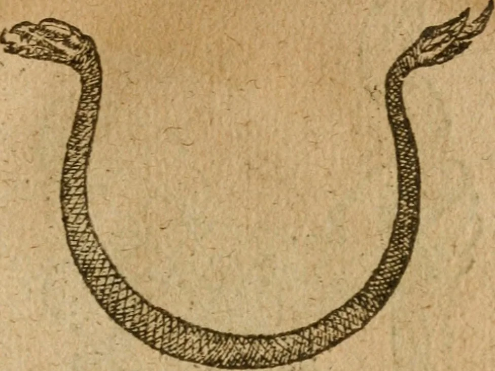 An illustration from Symbola heroica m. Clavdii Paradini, Belliiocensis canonici, et d. Gabrielis Symeonis : multo, quàm antea, fidelius de gallica lingua in latinam conuersa, 1600, leaf 162