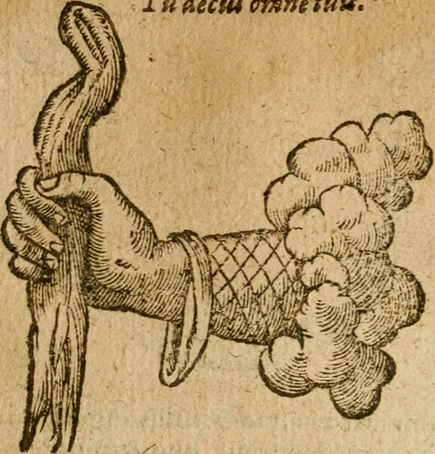 An illustration from Symbola heroica m. Clavdii Paradini, Belliiocensis canonici, et d. Gabrielis Symeonis : multo, quàm antea, fidelius de gallica lingua in latinam conuersa, 1600, leaf 163