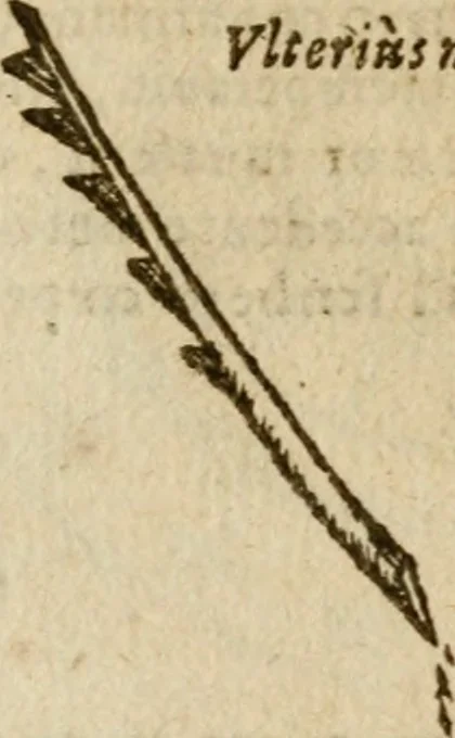 An illustration from Symbola heroica m. Clavdii Paradini, Belliiocensis canonici, et d. Gabrielis Symeonis : multo, quàm antea, fidelius de gallica lingua in latinam conuersa, 1600, leaf 168