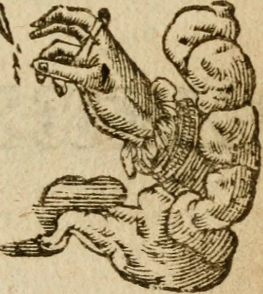 An illustration from Symbola heroica m. Clavdii Paradini, Belliiocensis canonici, et d. Gabrielis Symeonis : multo, quàm antea, fidelius de gallica lingua in latinam conuersa, 1600, leaf 168