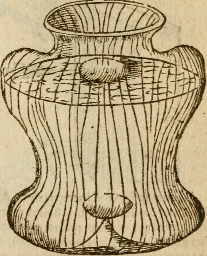 An illustration from Symbola heroica m. Clavdii Paradini, Belliiocensis canonici, et d. Gabrielis Symeonis : multo, quàm antea, fidelius de gallica lingua in latinam conuersa, 1600, leaf 172