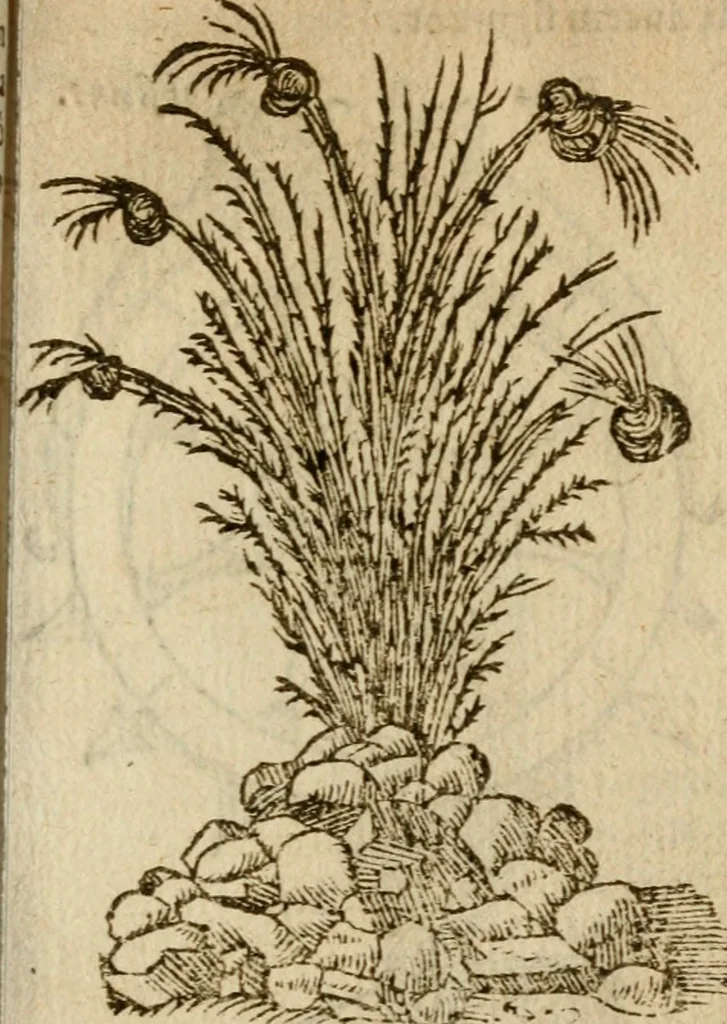 An illustration from Symbola heroica m. Clavdii Paradini, Belliiocensis canonici, et d. Gabrielis Symeonis : multo, quàm antea, fidelius de gallica lingua in latinam conuersa, 1600, leaf 174