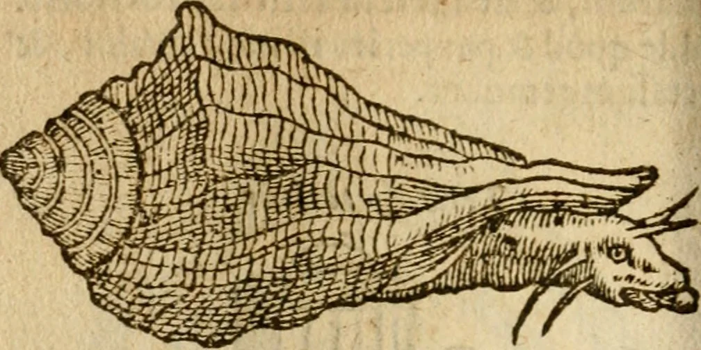 An illustration from Symbola heroica m. Clavdii Paradini, Belliiocensis canonici, et d. Gabrielis Symeonis : multo, quàm antea, fidelius de gallica lingua in latinam conuersa, 1600, leaf 177