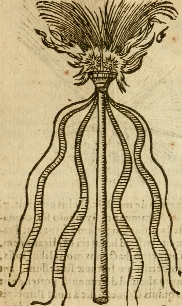 An illustration from Symbola heroica m. Clavdii Paradini, Belliiocensis canonici, et d. Gabrielis Symeonis : multo, quàm antea, fidelius de gallica lingua in latinam conuersa, 1600, leaf 179