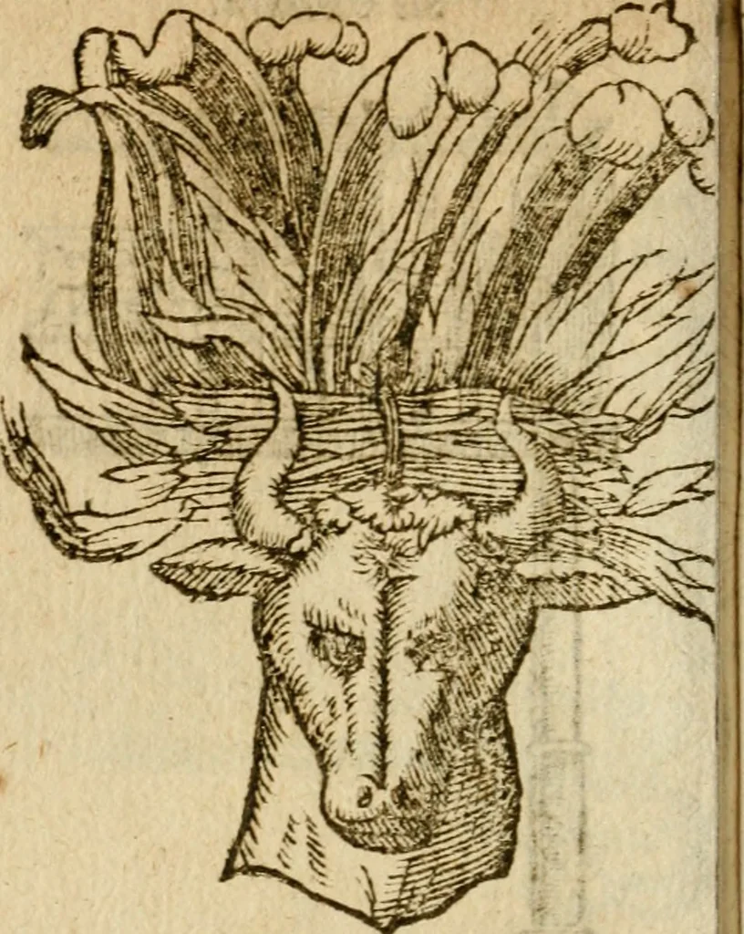 An illustration from Symbola heroica m. Clavdii Paradini, Belliiocensis canonici, et d. Gabrielis Symeonis : multo, quàm antea, fidelius de gallica lingua in latinam conuersa, 1600, leaf 183